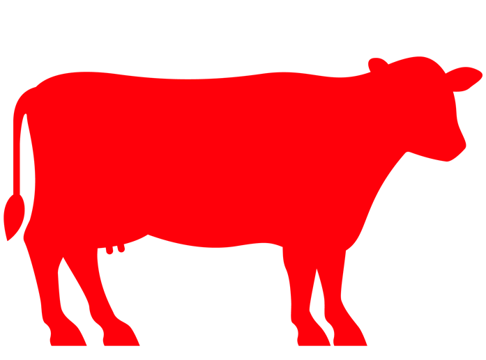 Cow Full