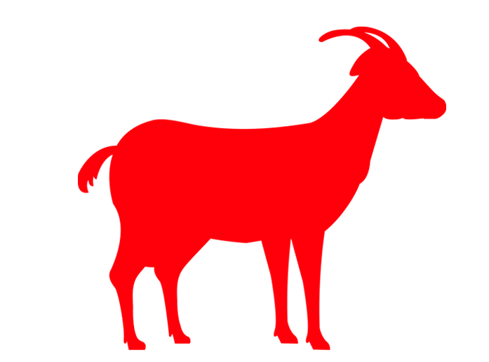 Bakra Qurbani