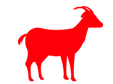 Bakra Qurbani
